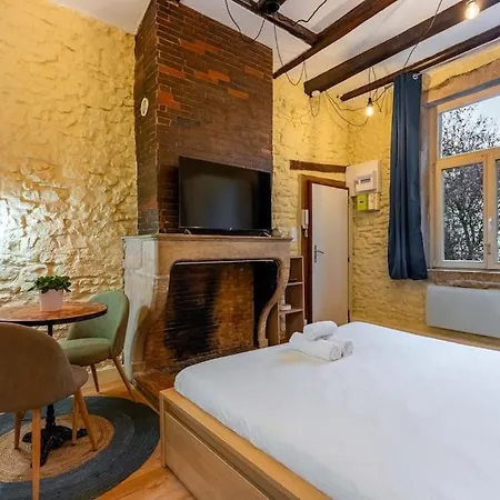 شقة Le Cocon De Claudie نانسي